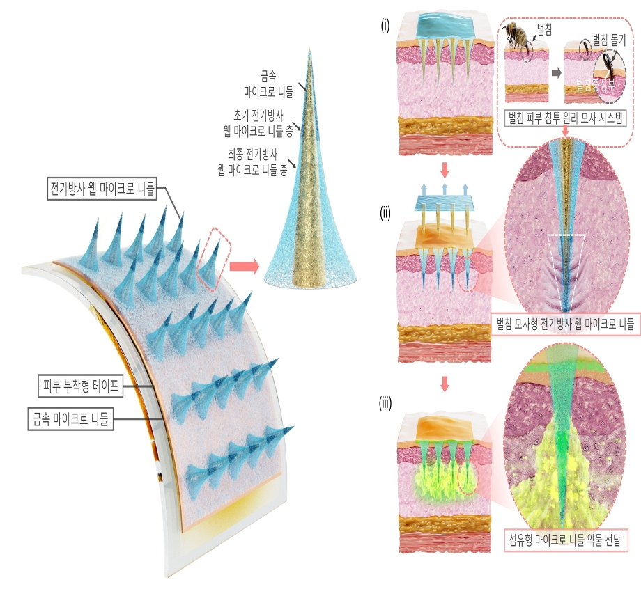 기계공학과 하지환 교수 연구팀, 벌침 모사형 유연 웨어러블 나노섬유 마이크로 니들 세계 최초 개발 이미지