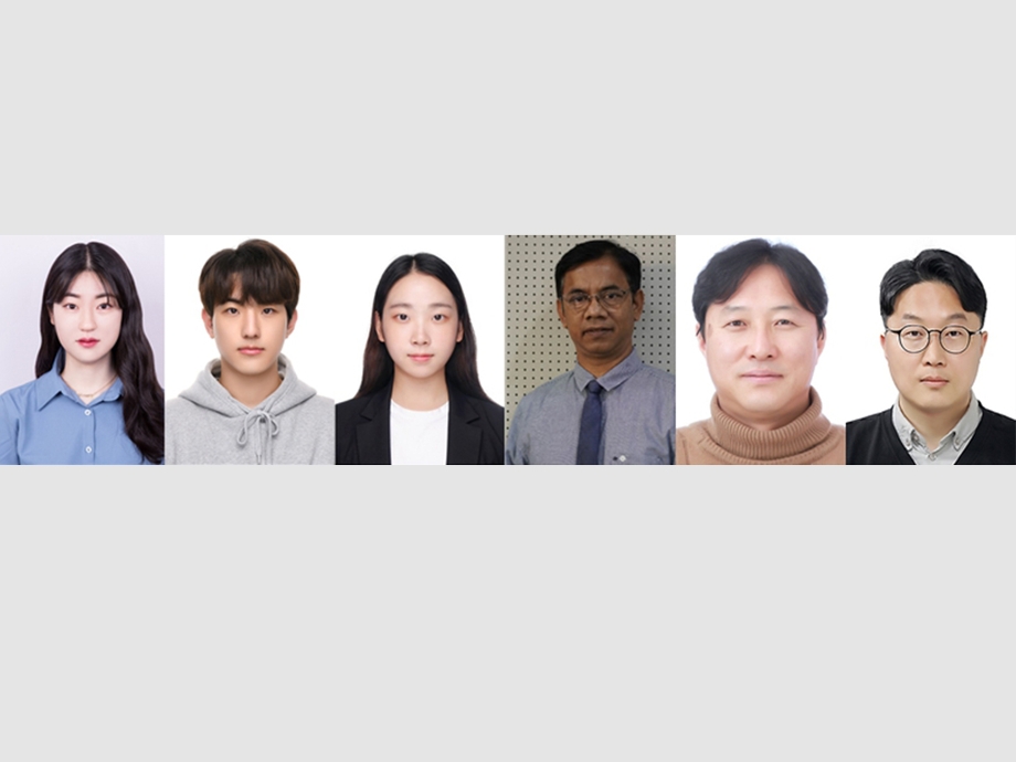 신소재공학과 김정현 교수 연구팀, 산화 분위기 Metal Co 용출 통한 차세대 공기극 설계 성과 발표  이미지